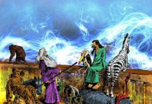 Daniel Miltgen: HOCHWASSERSCHUTZ ANSTATT ARENEN FÜR BROT UND SPIELE