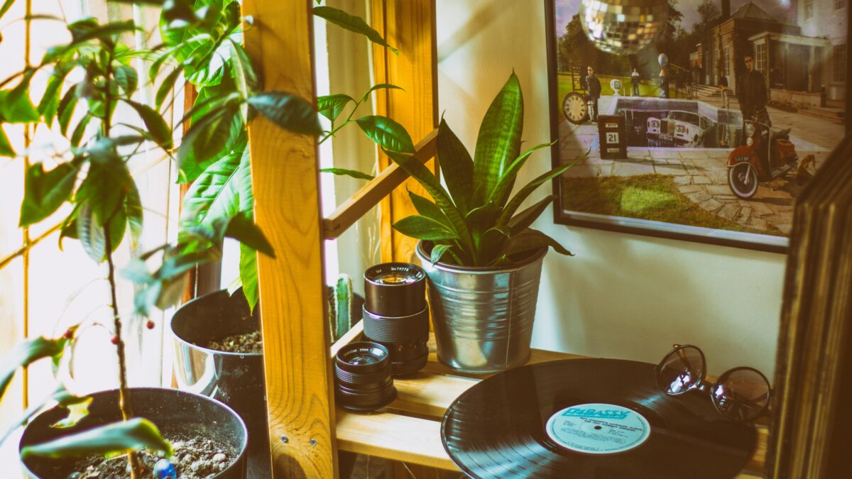 Ernesto Fluni: Karl und die Pflanzenmusik